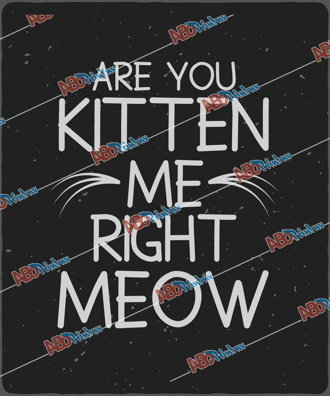 Are You Kitten Me Right Meow.jpg