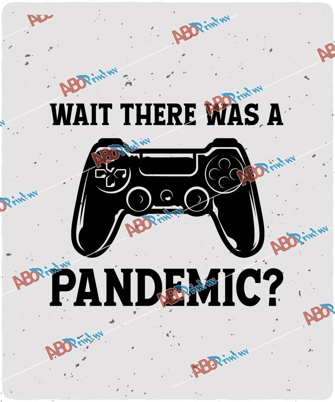 Wait there was a pandemic.jpg